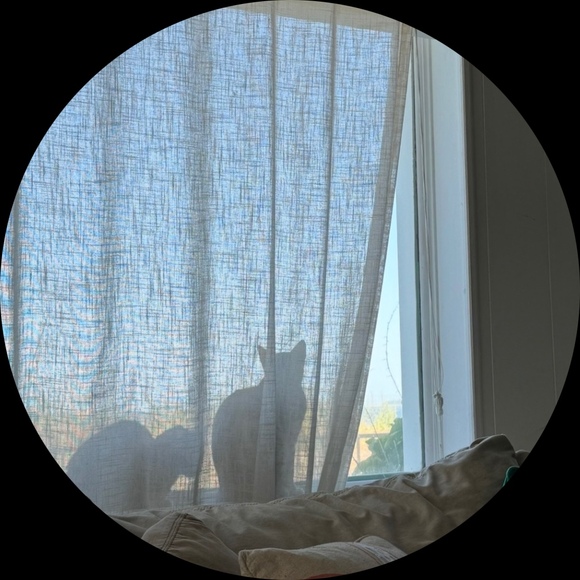 dovemoon1